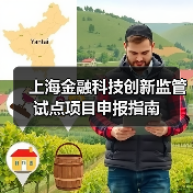 上海金融科技创新监管试点项目申报指南（图3）