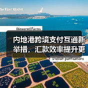 内地港跨境支付互通新举措，汇款效率提升更便捷（图1）