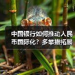 中国银行如何推动人民币国际化？多举措拓展全球清算与跨境服务（图4）