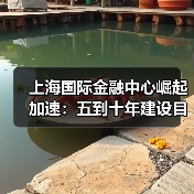 上海国际金融中心崛起加速：五到十年建设目标解析（图4）