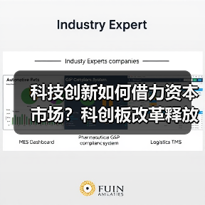 科技创新如何借力资本市场？科创板改革释放哪些信号（图2）