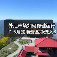 外汇市场如何稳健运行?5月跨境资金净流入330亿美元(图1) 外汇市场如何稳健运行?5月跨境资金净流入330亿美元(图1)