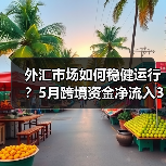 外汇市场如何稳健运行?5月跨境资金净流入330亿美元(图2) 外汇市场如何稳健运行?5月跨境资金净流入330亿美元(图2)