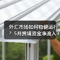 外汇市场如何稳健运行?5月跨境资金净流入330亿美元(图3) 外汇市场如何稳健运行?5月跨境资金净流入330亿美元(图3)