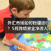 外汇市场如何稳健运行?5月跨境资金净流入330亿美元(图4) 外汇市场如何稳健运行?5月跨境资金净流入330亿美元(图4)