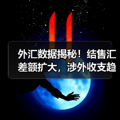 外汇数据揭秘!结售汇差额扩大,涉外收支趋势如何?(图3) 外汇数据揭秘!结售汇差额扩大,涉外收支趋势如何?(图3)