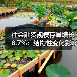 社会融资规模存量增长8.7%:结构性变化影响几何?(图1) 社会融资规模存量增长8.7%:结构性变化影响几何?(图1)