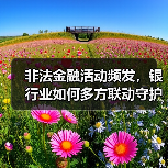 非法金融活动频发,银行业如何多方联动守护百姓财产?(图1) 非法金融活动频发,银行业如何多方联动守护百姓财产?(图1)