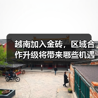 越南加入金砖,区域合作升级将带来哪些机遇?(图2) 越南加入金砖,区域合作升级将带来哪些机遇?(图2)
