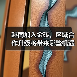 越南加入金砖,区域合作升级将带来哪些机遇?(图1) 越南加入金砖,区域合作升级将带来哪些机遇?(图1)