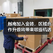 越南加入金砖,区域合作升级将带来哪些机遇?(图3) 越南加入金砖,区域合作升级将带来哪些机遇?(图3)