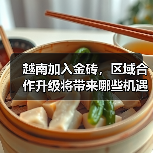 越南加入金砖,区域合作升级将带来哪些机遇?(图4) 越南加入金砖,区域合作升级将带来哪些机遇?(图4)