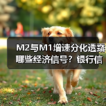 M2与M1增速分化透露哪些经济信号?银行信贷走向解析(图2) M2与M1增速分化透露哪些经济信号?银行信贷走向解析(图2)