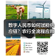 数字人民币如何赋能供应链?农行全流程应用抢先看(图2) 数字人民币如何赋能供应链?农行全流程应用抢先看(图2)