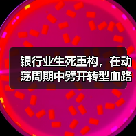 银行业生死重构,在动荡周期中劈开转型血路!(图2) 银行业生死重构,在动荡周期中劈开转型血路!(图2)