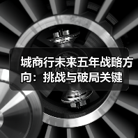 城商行未来五年战略方向:挑战与破局关键(图4) 城商行未来五年战略方向:挑战与破局关键(图4)