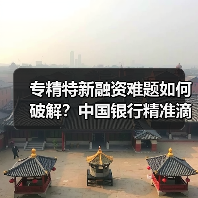 专精特新融资难题如何破解?中国银行精准滴灌全解析(图2) 专精特新融资难题如何破解?中国银行精准滴灌全解析(图2)