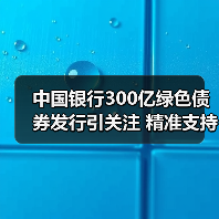 中国银行300亿绿色债券发行引关注 精准支持绿色产业转型(图1) 中国银行300亿绿色债券发行引关注 精准支持绿色产业转型(图1)