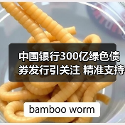 中国银行300亿绿色债券发行引关注 精准支持绿色产业转型(图4) 中国银行300亿绿色债券发行引关注 精准支持绿色产业转型(图4)