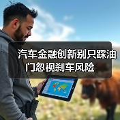 汽车金融创新别只踩油门忽视刹车风险