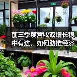 前三季度营收双增长稳中有进，如何助推经济高质量发展？