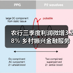 农行三季度利润微增3.28% 乡村振兴金融服务如何再升级?(图4) 农行三季度利润微增3.28% 乡村振兴金融服务如何再升级?(图4)
