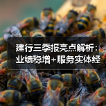 建行三季报亮点解析：业绩稳增+服务实体经济双突破