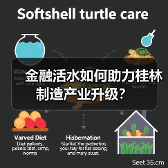 金融活水如何助力桂林制造产业升级?(图4) 金融活水如何助力桂林制造产业升级?(图4)
