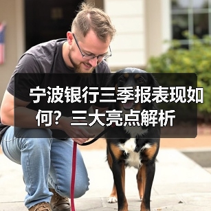 宁波银行三季报表现如何？三大亮点解析