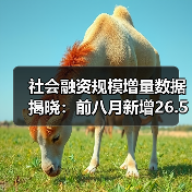社会融资规模增量数据揭晓:前八月新增26.56万亿创纪录(图3) 社会融资规模增量数据揭晓:前八月新增26.56万亿创纪录(图3)