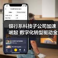 银行系科技子公司加速崛起 数字化转型驱动金融服务升级(图4) 银行系科技子公司加速崛起 数字化转型驱动金融服务升级(图4)