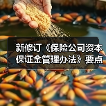 新修订《保险公司资本保证金管理办法》要点解析：监管优化与资本安全（图3）