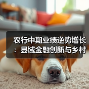 农行中期业绩逆势增长:县域金融创新与乡村振兴的智慧密码(图2) 农行中期业绩逆势增长:县域金融创新与乡村振兴的智慧密码(图2)