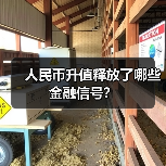 人民币升值释放了哪些金融信号?(图3) 人民币升值释放了哪些金融信号?(图3)