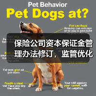 保险公司资本保证金管理办法修订,监管优化更灵活?(图2) 保险公司资本保证金管理办法修订,监管优化更灵活?(图2)