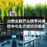 消费金融巨头携手共建数字化生态赋能普惠服务(图2) 消费金融巨头携手共建数字化生态赋能普惠服务(图2)