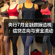 央行7月金融数据透视:信贷走向与资金流动趋势(图4) 央行7月金融数据透视:信贷走向与资金流动趋势(图4)