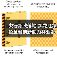 央行新政落地 黑龙江绿色金融创新助力林业发展(图4) 央行新政落地 黑龙江绿色金融创新助力林业发展(图4)