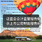 证监会会计监管报告揭示上市公司财务报告问题及改进方向(图1) 证监会会计监管报告揭示上市公司财务报告问题及改进方向(图1)