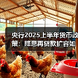 央行2025上半年货币政策:降息再贷款扩容如何影响经济(图4) 央行2025上半年货币政策:降息再贷款扩容如何影响经济(图4)