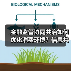 金融监管协同共治如何优化消费环境?信息共享成关键(图2) 金融监管协同共治如何优化消费环境?信息共享成关键(图2)
