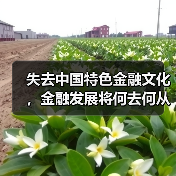 失去中国特色金融文化,金融发展将何去何从?(图4) 失去中国特色金融文化,金融发展将何去何从?(图4)