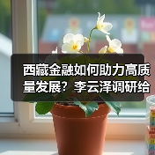 西藏金融如何助力高质量发展？李云泽调研给出答案（图1）