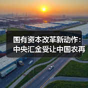 国有资本改革新动作：中央汇金受让中国农再90亿股，释放什么信号？（图3）