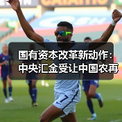 国有资本改革新动作：中央汇金受让中国农再90亿股，释放什么信号？（图4）