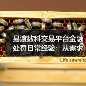 易渡数科交易平台金融处罚日常经验:从需求判断到使用维护(图1) 易渡数科交易平台金融处罚日常经验:从需求判断到使用维护(图1)